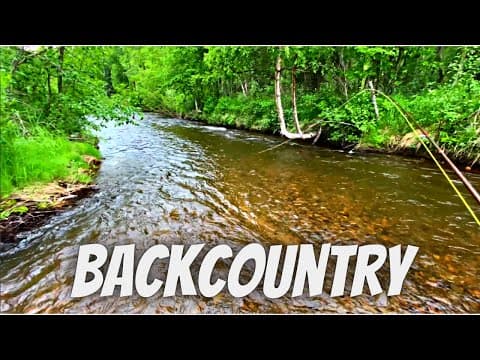 Fly Fishing for Rainbow Trout &amp; Grayling in a Small Creek in Alaska
