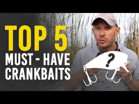 5 Crankbaits You Should Stock for Bass