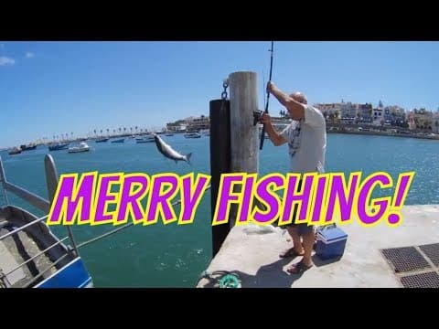 Merry fishing!Cascais