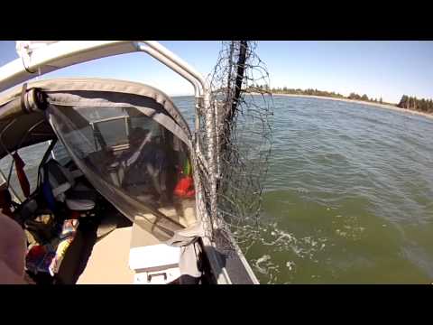 Willapa Bay 8-21,22-2013