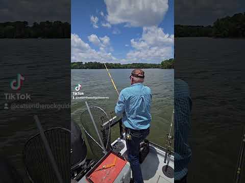 HighRock Lake Blue Catfish guide trip.