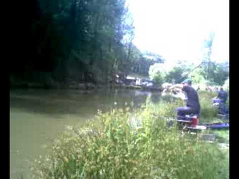 Catching Coots