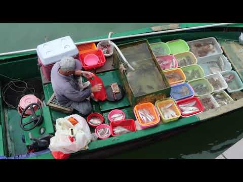 Killing live Red Snapper  On Board at Seafood Floating Market in Sai Kung Hong Kong