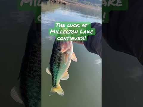 Millerton lake bass: SLOOOWW DRAGGIN’