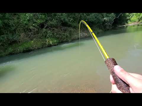 Mending Technique to Fly Fishing for Mountain Mullet in Puerto Rico 🇵🇷