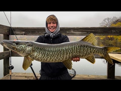 Insane GIANT TIGER MUSKY from the PUBLIC Dock! (Caught Sight Fishing)