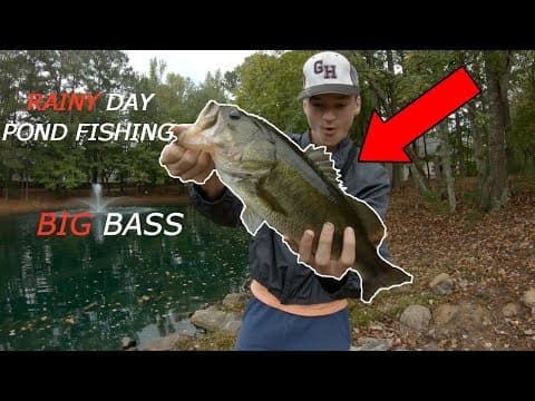 RAINY DAY POND BASS FISHING (BIG BASS LURK IN THIS POND)