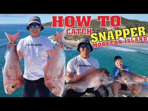 Snapper Fishing 60 minutes from Brisbane