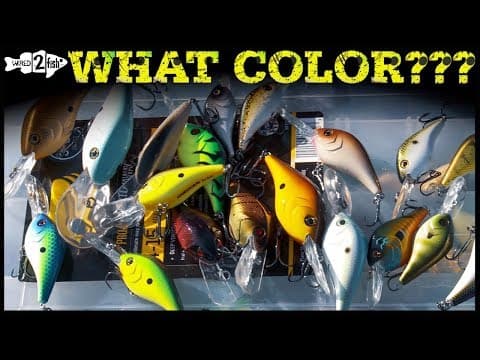 Crankbait Color Selection Tips and When to Change