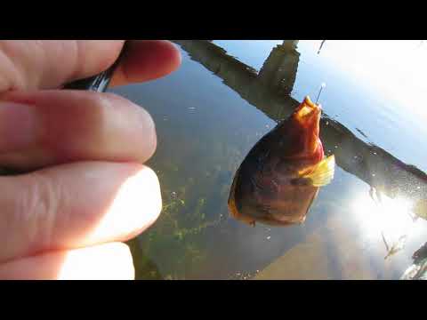 a good time fishing Middle River Broward County Florida
