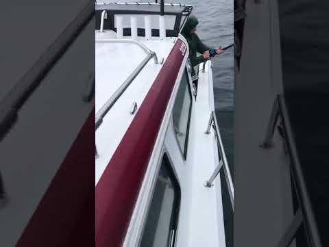 Halibut Fishing in Prince William Sound, Alaska!