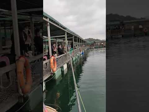 floating village in tai po hongkong good for family who like fishing