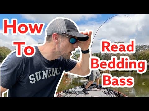 How To Read Bedding Bass (Full Explanation)