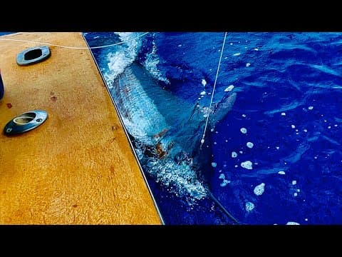 BLUE MARLIN FISHING KAILUA-KONA | 12 HR HEMINGWAY MARLIN FISHING |HAWAII MARLIN FISHING |