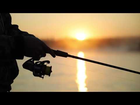 August on the Kenai