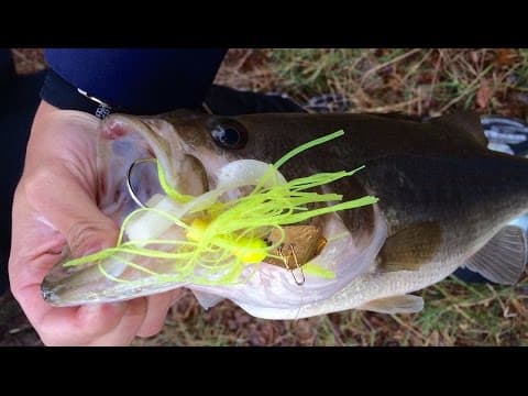 CHATTERBAITS Catch BIG Pond Bass in COLD Muddy Water!!! (Fishing on Christmas Day!)