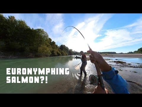 Euronymphing salmon on a 3wt? | #shorts