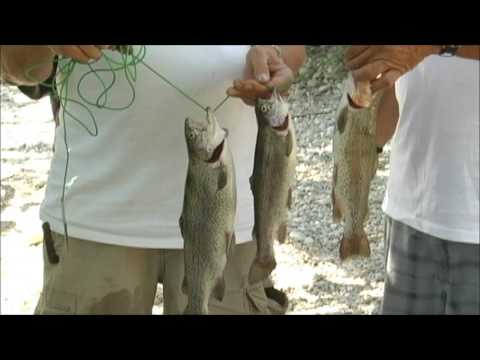 Trout Don&#39;t Stand A Chance With This Guy  - Boise River - July 21, 2017