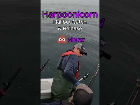 Halibut Catch and Release Westport WA Cluster #shortsfeed #shorts #fishing #halibut  #outdoors #fish