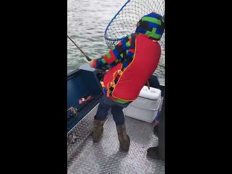 Fishing Kenai River: Child reels in 34lb king salmon
