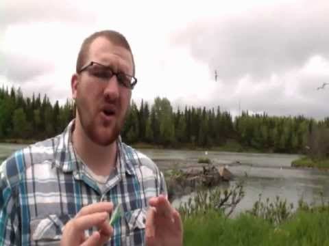 TIGHT LINES June 14 — Russian Sockeye, Kenai Rainbows