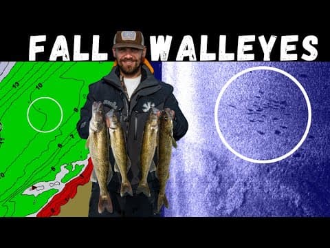 Shallow Fall Walleye Fishing - A COMPLETE Guide | Locations, Tips, & Techniques