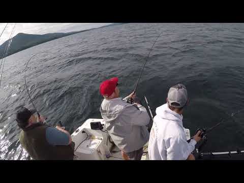 Moppin&#39; up deep water Lake Trout on Cowbells