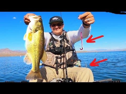 How to fish a Drop Shot for BEGINNERS