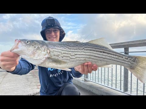 Striper Fishing Secrets Revealed! Bay Area STRIPED BASS Fishing
