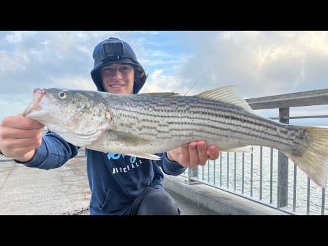 Striper Fishing Secrets Revealed! Bay Area STRIPED BASS Fishing