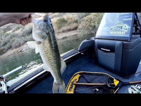 Castaic Lake Fishing Techniques for Bass