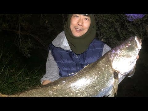 2 horse of Mulloway jewfish landed at Yarra Richmond Melbourne 103cm and 98cm what a day