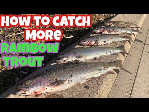 HOW TO CATCH MORE RAINBOW TROUT (Donner Lake) California