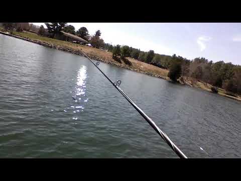 Fishing Video # 1 at Claytor Lake State Park (Dublin, VA)