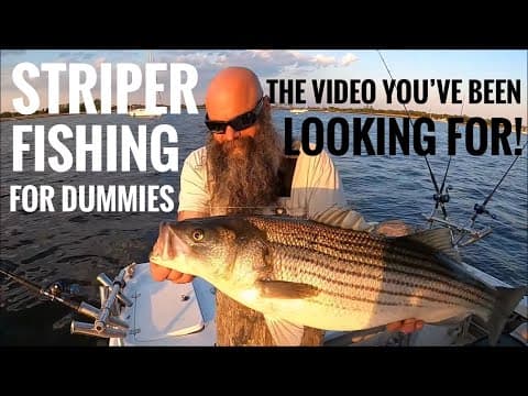 Striper fishing for Dummies! How to catch Striped Bass. Striper fishing for beginners!