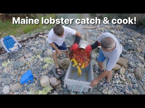 Maine lobster catch and cook over the fire on remote Maine island! 🦞