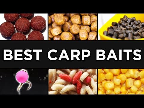 20 Carp Baits + Where and How to Use Them