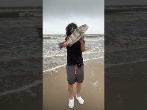 Surf Fishing Essentials For Beginners 🫧🐠 #surf #fishing #beach #shortsvideo #explore #shorts #fyp