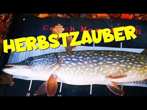 Karpfenangeln mit Hecht Zulage 2021 November