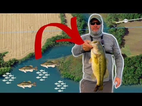 Why are these BASS here? Outgoing River Tide Bass Fishing Tips and Secrets / Fishing Creek Mouths