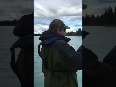 Loosing a Rainbow Trout of a lifetime on the Kenai River
