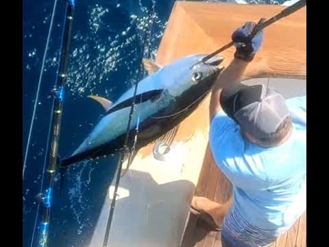 1st Place Tuna Alice Kelly Tournament