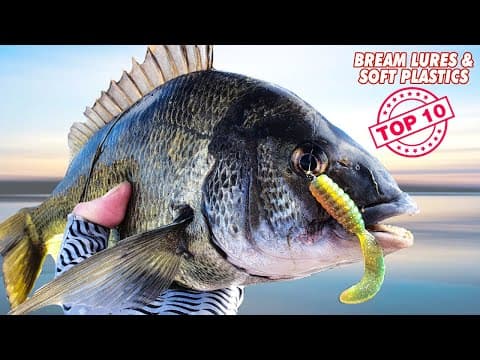 TOP 10 BREAM Lures, Soft Plastics & Techniques