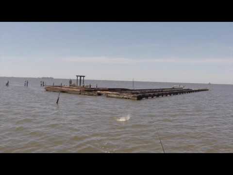Fishing Barataria Bay