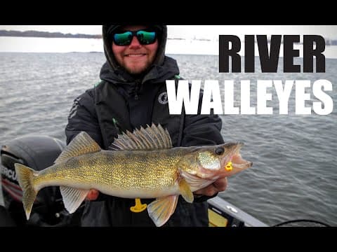 Jigging Winter Walleyes on the River (January Beatdown)