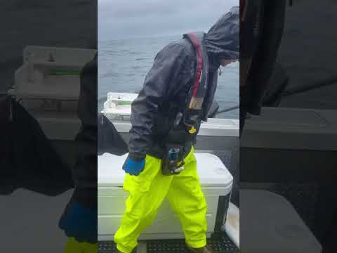 Westport, WA halibut opener 2023 🎣 #blackburn #brad #westport #halibut #seabass #fishing #fish