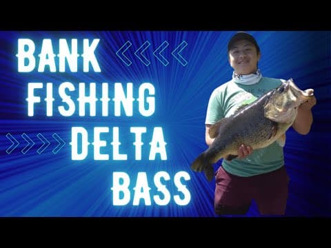 Bank fishing for Bass. How to catch Delta Bass from the bank.