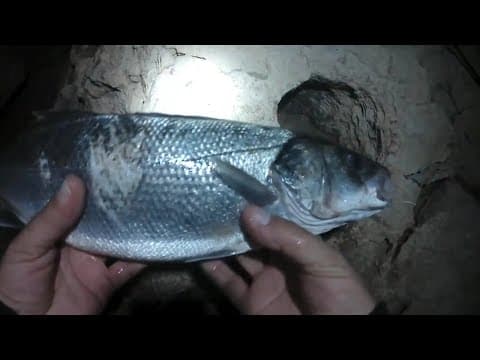 Pescando lubina y mujol en Guardamar
