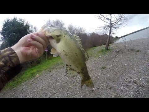 Shinn Ponds Quarrys Fremont San Jose Bay Area Pond Hoppin Pre Spawn Bass Fishing 2017