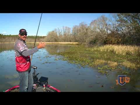 Big Bass HIDE in Thick Vegetation! Learn Fishing Secrets for How to Catch Them